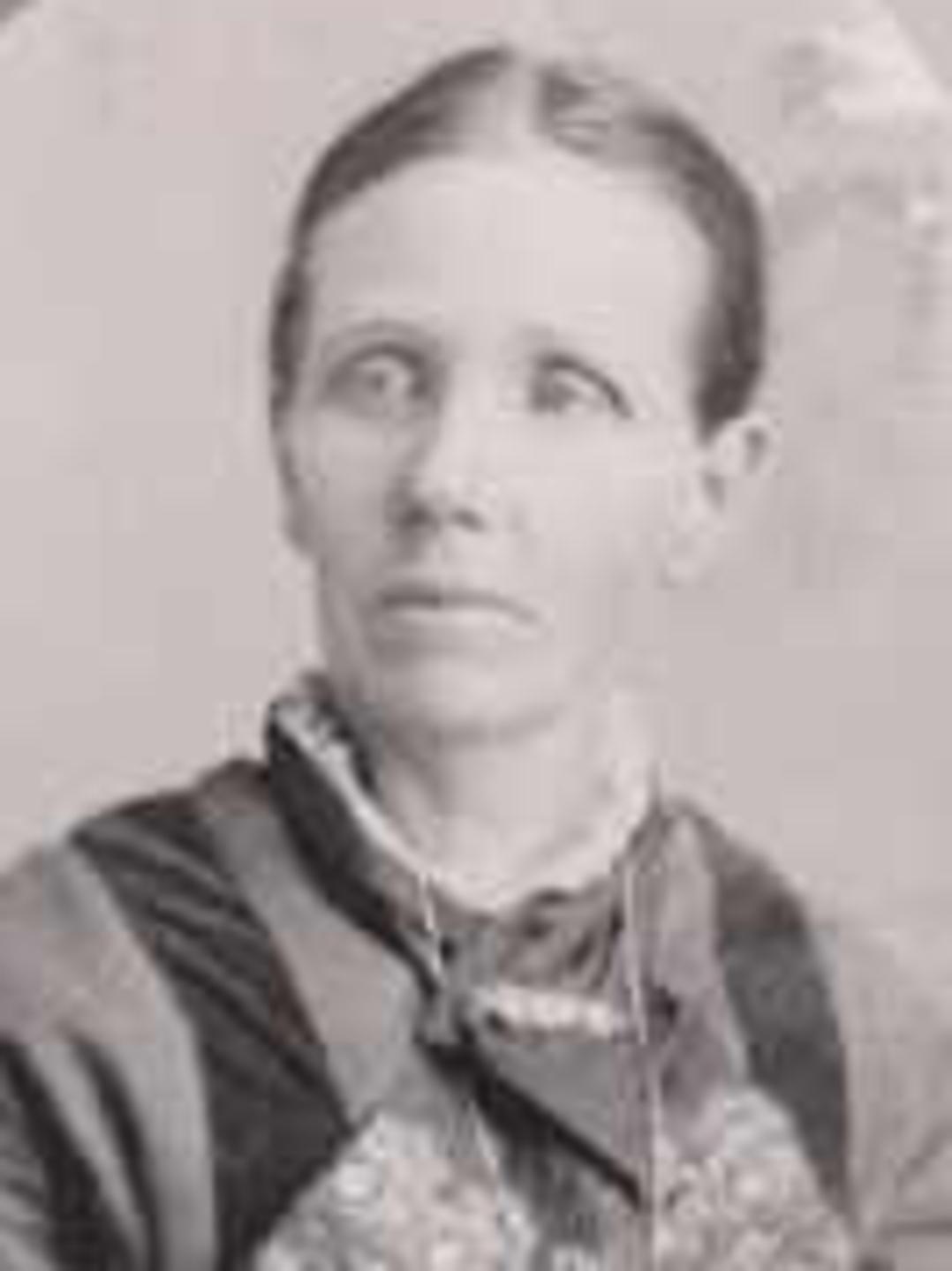 Amanda Williams (1835 - 1920) Profile